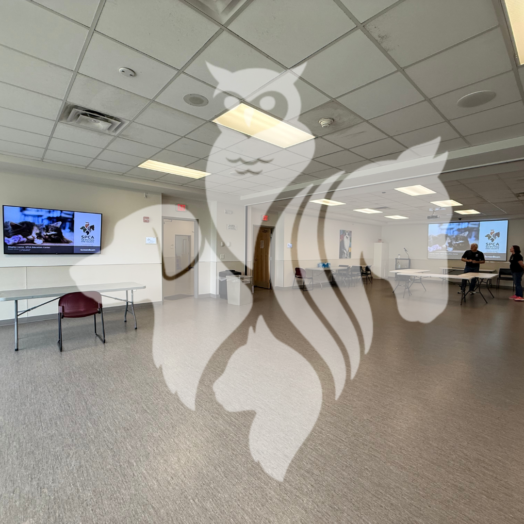 Photo of Tech Savvy work done with SPCA of Erie County logo layered over.